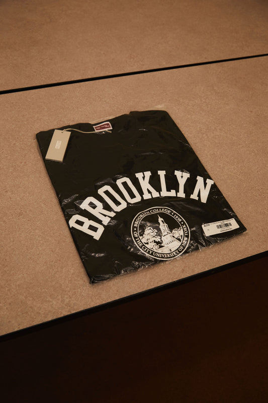 CUNY Scholarship Projects